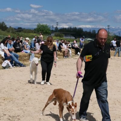 IMG-20250426-WA0088
