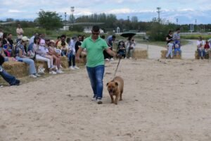 IMG-20250426-WA0110