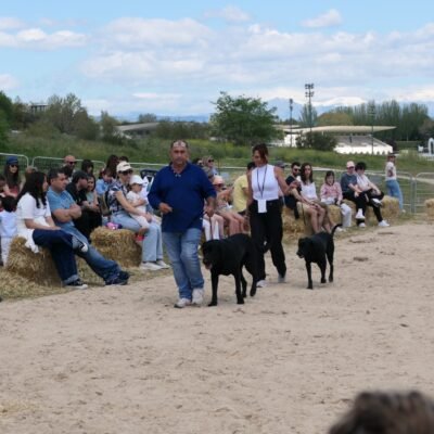 IMG-20250426-WA0113