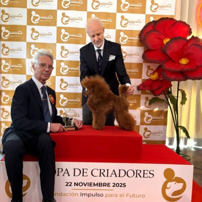 WhatsApp Image 2025-11-26 at 12.53.44